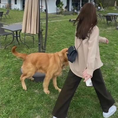 恋爱的温度